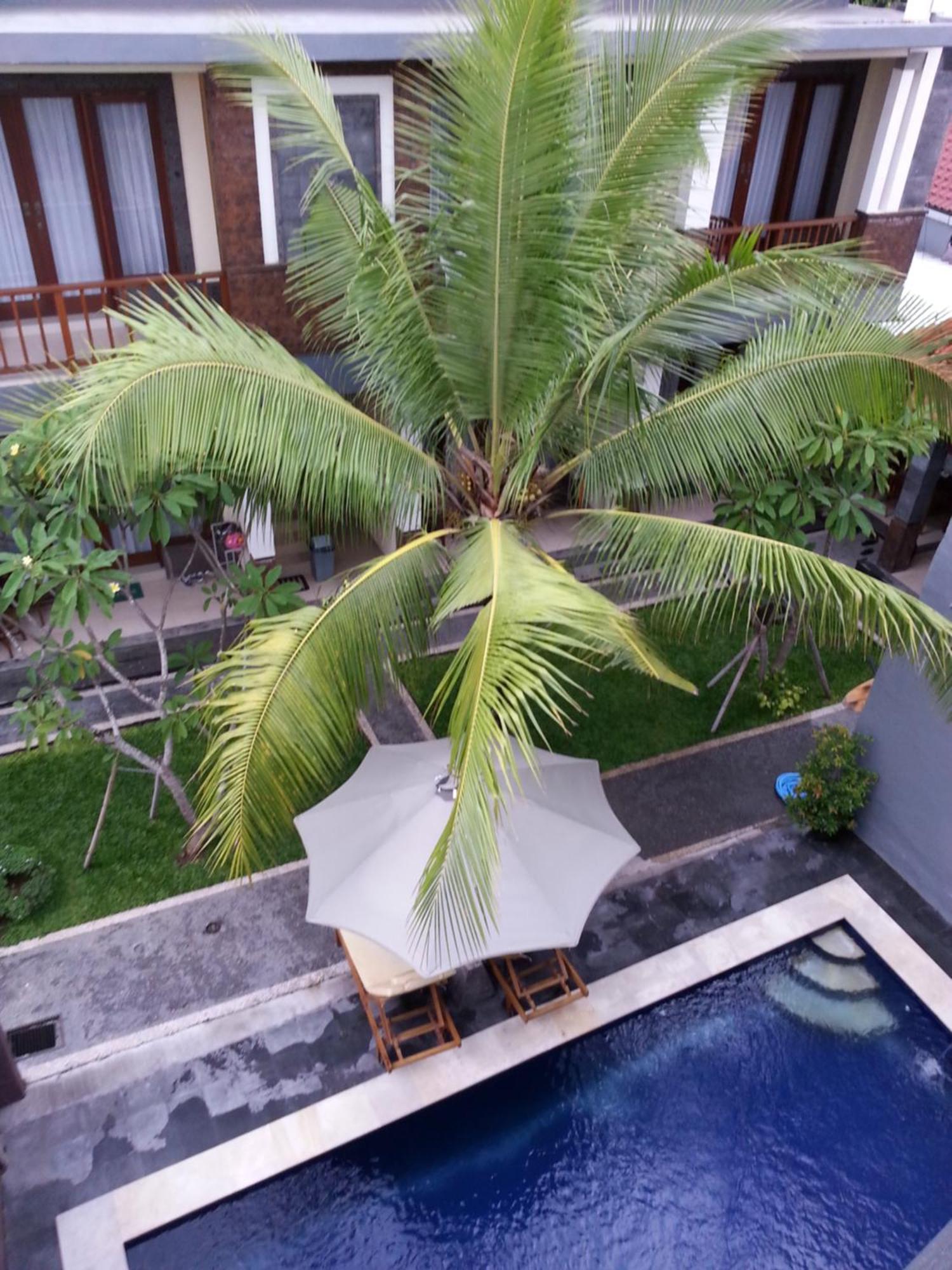Dabumito Guest House Canggu Exterior foto